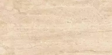Dianox Beige Glossy 60x120