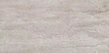Dianox Grey Glossy 60x120