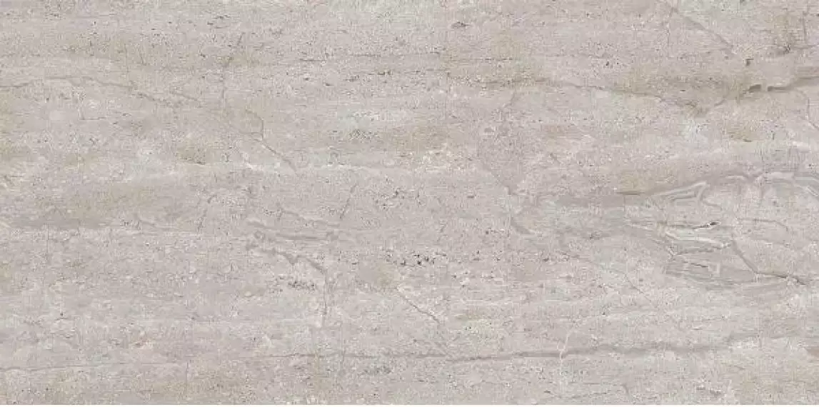 Dianox Grey Glossy 60x120