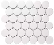 Disk 48*48*6 300x264.5