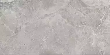 Dome Ash Ractificado 80x160