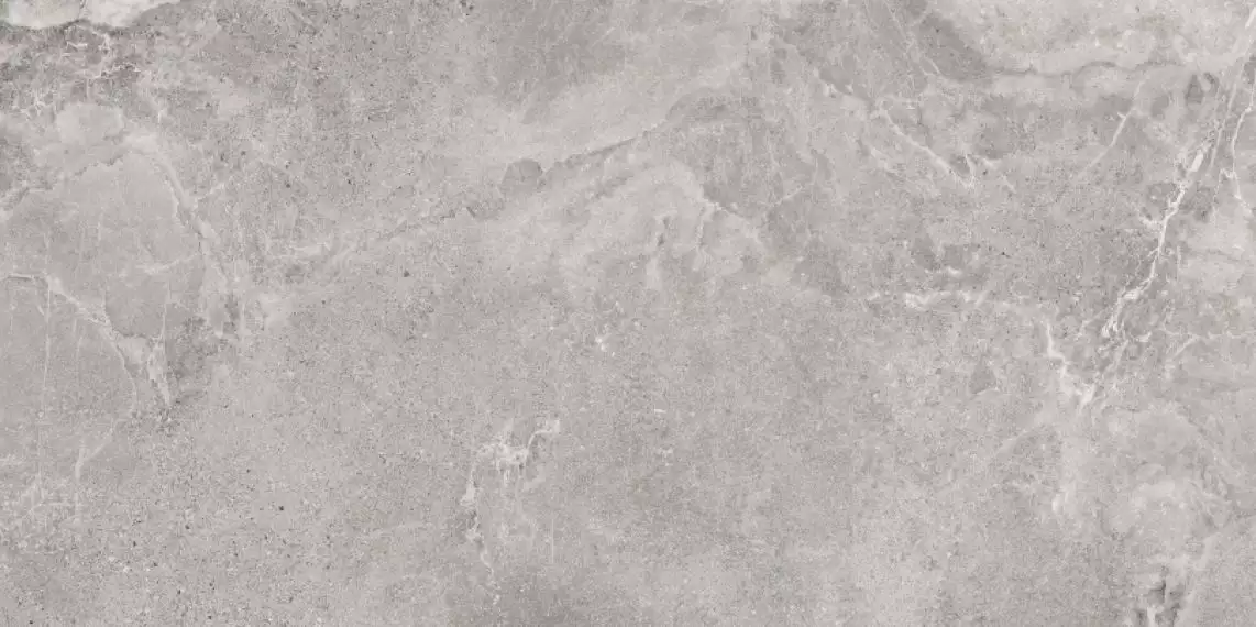 Dome Ash Ractificado 80x160