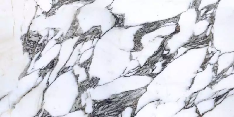 E-13169 POLISHED 60x120