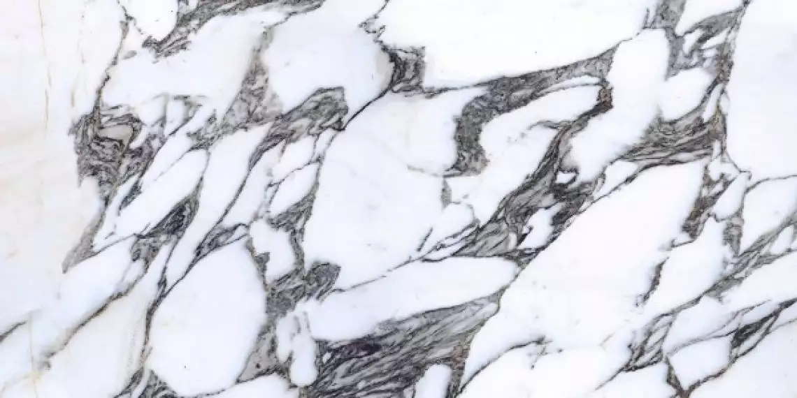 E-13169 POLISHED 60x120