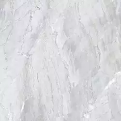 E-3021/MR Genio Светло-серый ректификат 600x600x9
