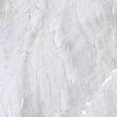 E-3021/MR Genio Светло-серый ректификат 600x600x9