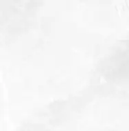 EARTHSTONE White br rett 60x60