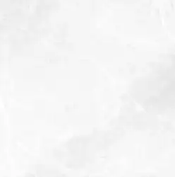 EARTHSTONE White br rett 60x60