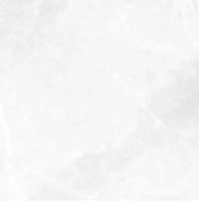 EARTHSTONE White br rett 60x60