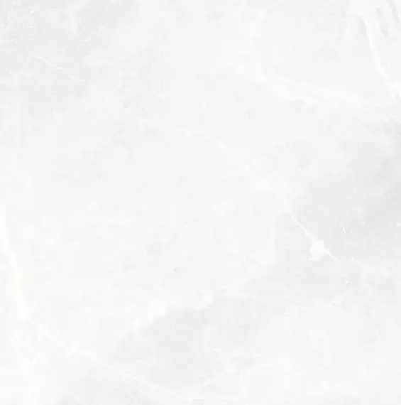 EARTHSTONE White br rett 60x60
