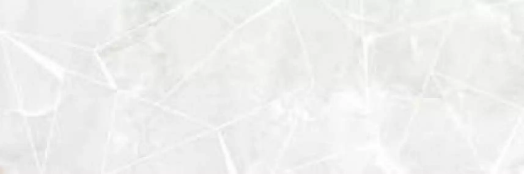 EC. DC. Eternal white 33.3x100