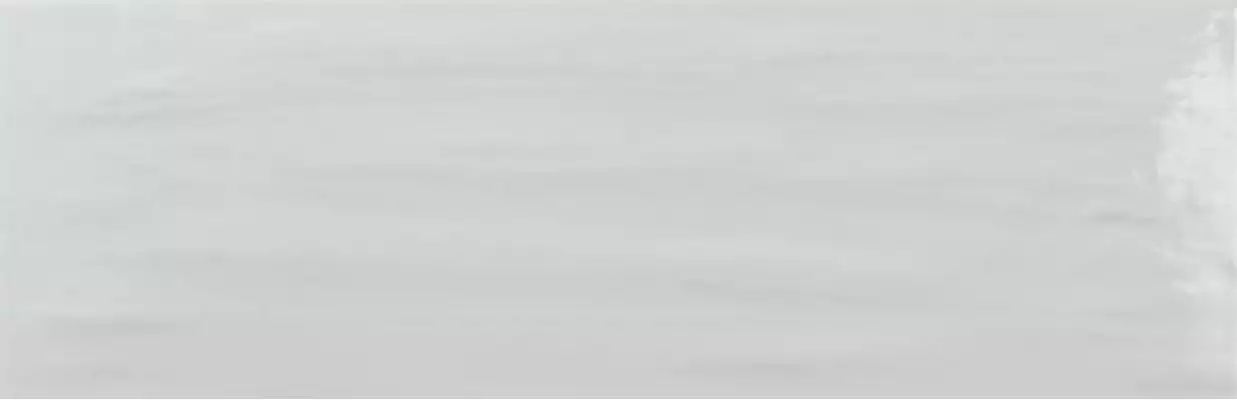 EC. VALMA BLANCO (20x60)
