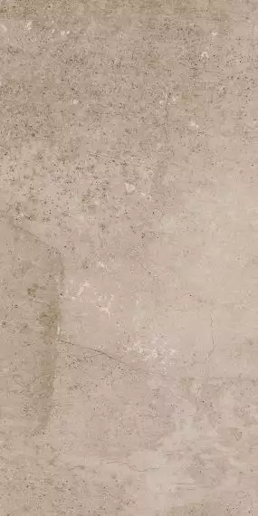 EE02 Seed Creamy Неполированный 30,6x60,9x8
