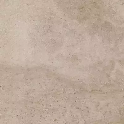 EE02 Seed Creamy Неполированный 40,5x40,5х8