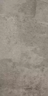 EE03 Seed Grey Неполированный 30,6x60,9x8