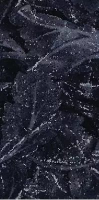 EHAX Керамогранит Acanto Calacatta Black Lapp Rett. 60x120
