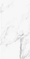 EJP8 Керамогранит STATUARIO MICHELANGELO LAPPATO 120x278