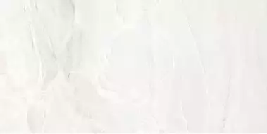 EJVQ Керамогранит White Paradise Naturale 60x120