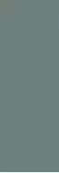 ELGLIM05 LISCIA PINE MATT 35x102