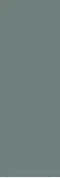 ELGLIM05 LISCIA PINE MATT 35x102