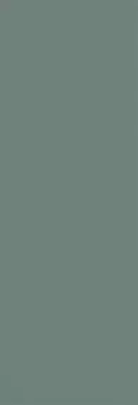 ELGLIM05 LISCIA PINE MATT 35x102