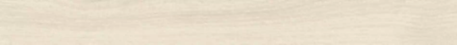 ELXR6 549PA RM Керамогранит 5x49