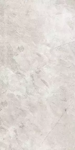 ERCF2020 60x120