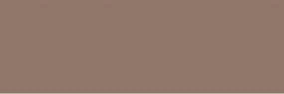 ESSENZIALE UMBER NAT. 3+mm 100x300