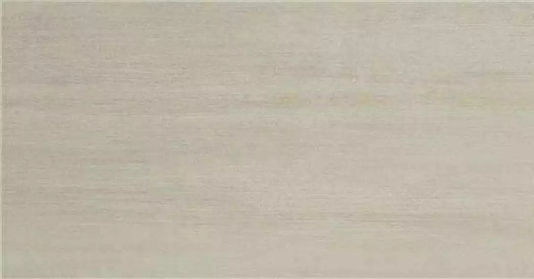 EVOLVE BEIGE MT RECT. 60x120