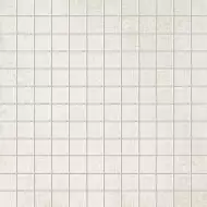 EVOQUE WHITE GRES MOS. 29,5X29,5
