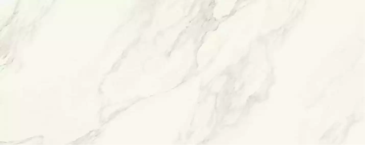 EXEDRA TILES SILK CALACATTA 100x250