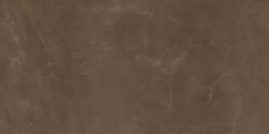 EXEDRA TILES SILK PULPIS 50х100