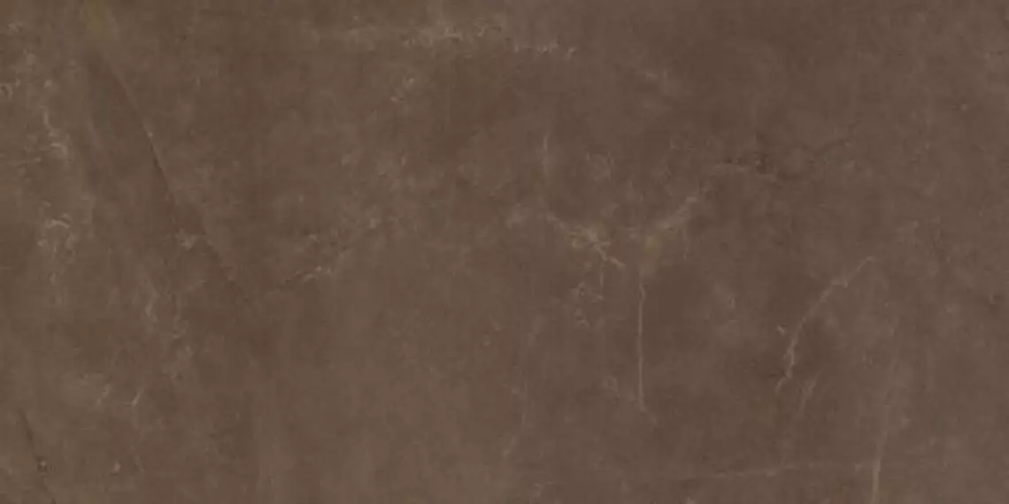 EXEDRA TILES SILK PULPIS 50х100
