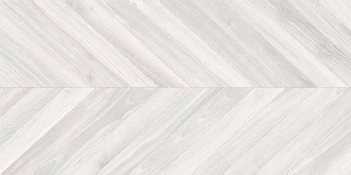 Ebony gris 60*120