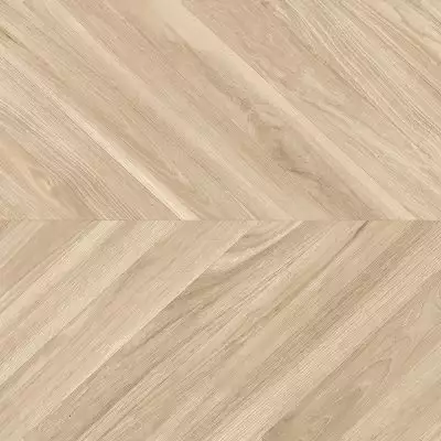 Ebony haya 60x60