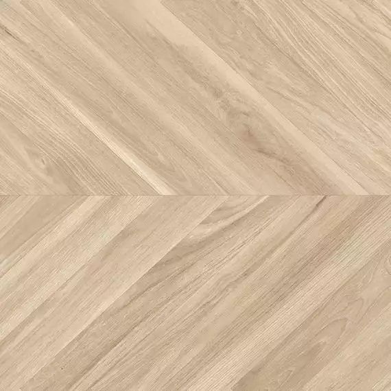 Ebony haya 60x60