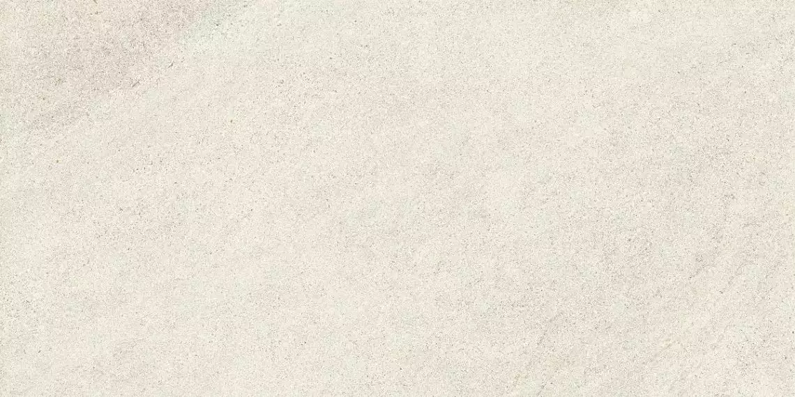 Eclettica Silk Rett Bianco 60x120