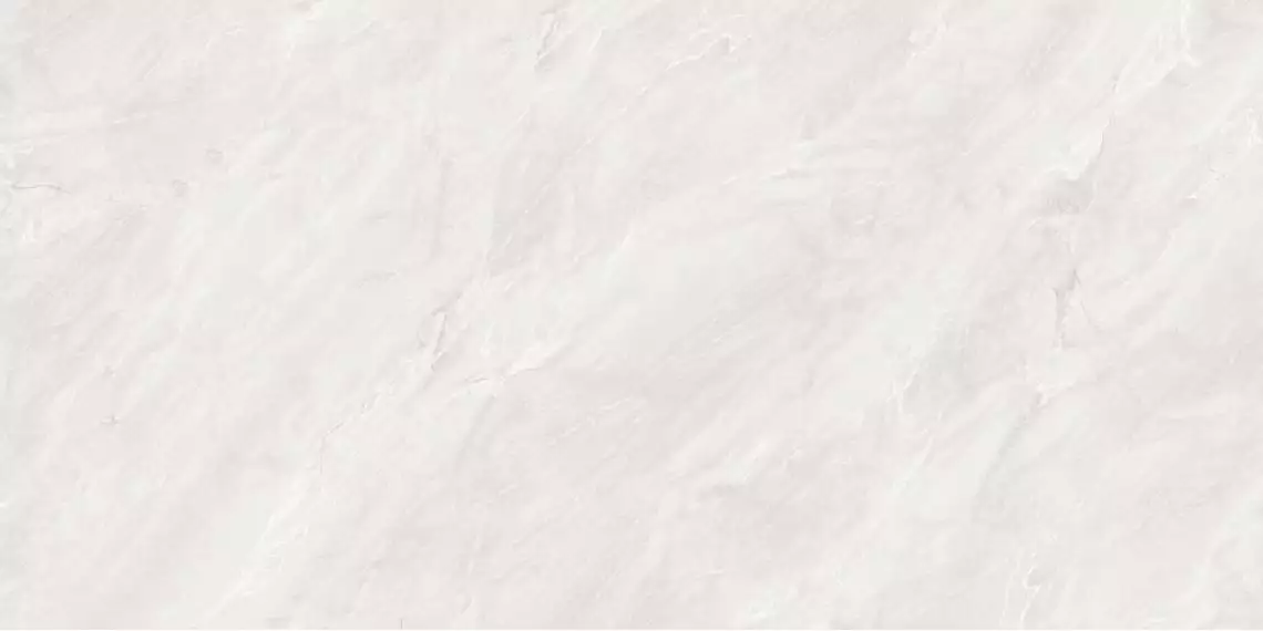 Eco 6381 Polished 60x120