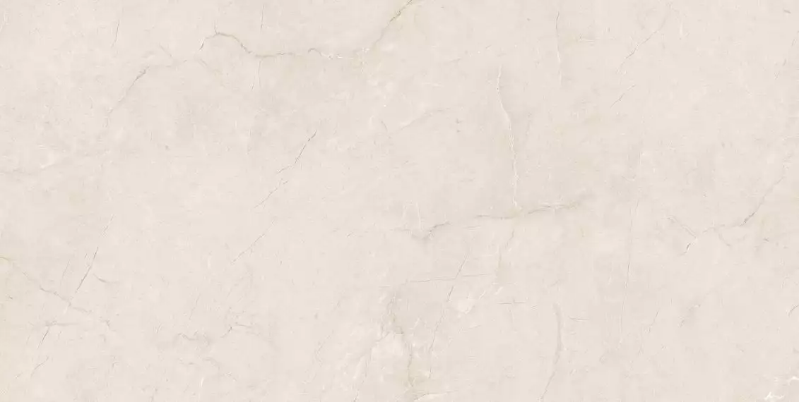 Eco 6523 Polished 60x120