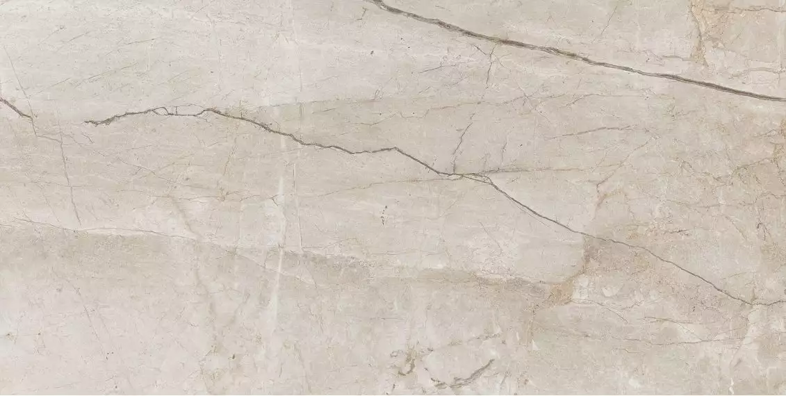 Eco 6536 Polished 60x120
