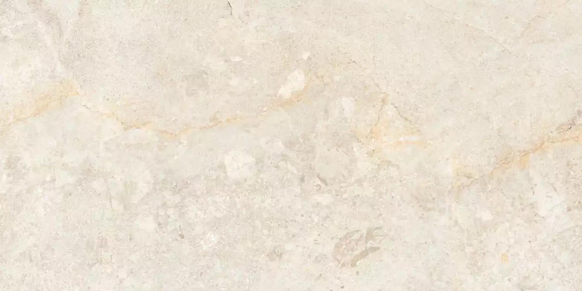 Edimex Ivory Drab 60x120
