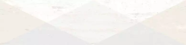 Efeso Dion Blanco R 21.8x89.3