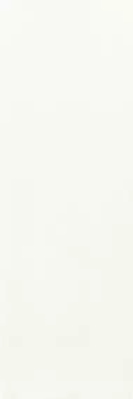 Elanda Bianco 25x75