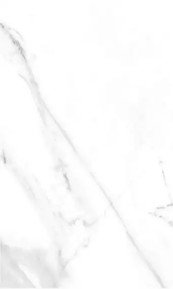Elegance Grey 01 30x50