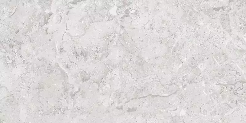 Elegance Grey Glossy Silver Line 60x120