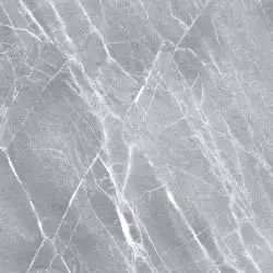 Elegance Grey PG 01 45x45