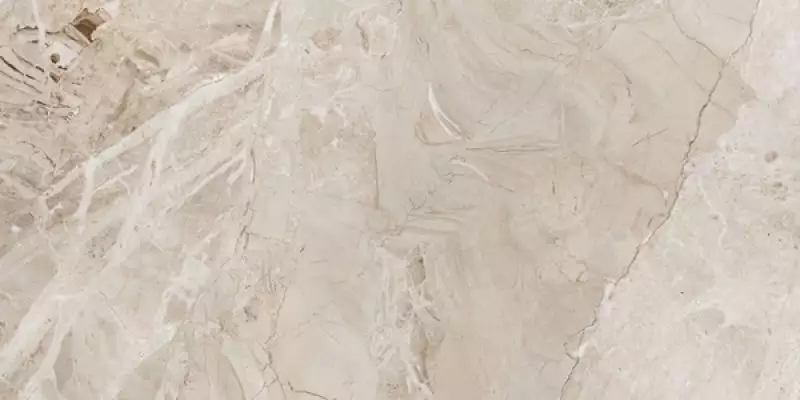 Elegance marfil NPlus 60x120