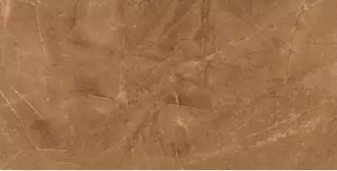 Elegant Armani Gold Полированный 60х120