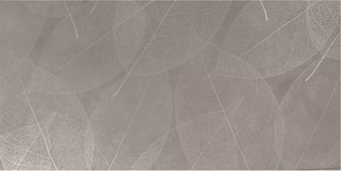 Eleganza Grigio Arte Carving 60x120
