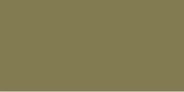 Elite Avocado 5мм Matt 60x120